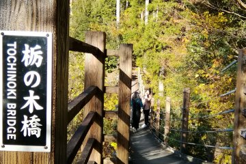 Tochinoki Bridge, Love Romance Road
