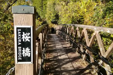 Sakura Bridge, Love Romance Road