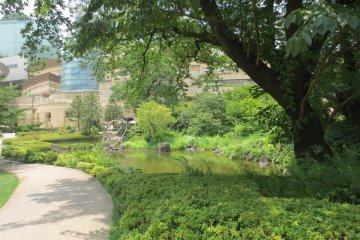 Take a stroll around the garden along the pathway