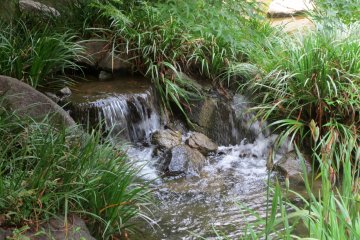 Tiny waterfalls spill over stones to run into the pond