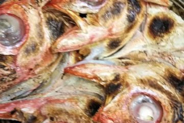 Fish Head.