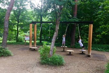 Swing like Tarzan to get to the next landing step.