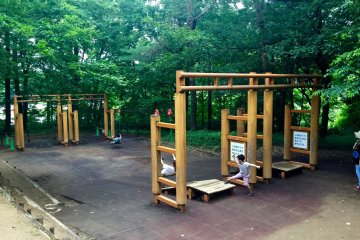 A twist on the playground favorite: a swing zip line!