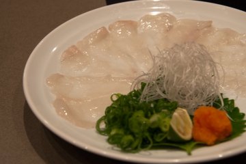Yamaguchi fugu sashimi