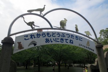 The creative sign reads "From now on, come see the animals again!"