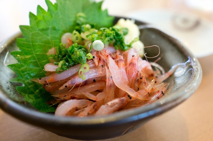 Sakura ebi