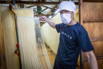 Visit Toraya’s udon factory