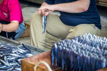 Preparing the ago, or flying fish