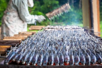 Grill your own flying fish