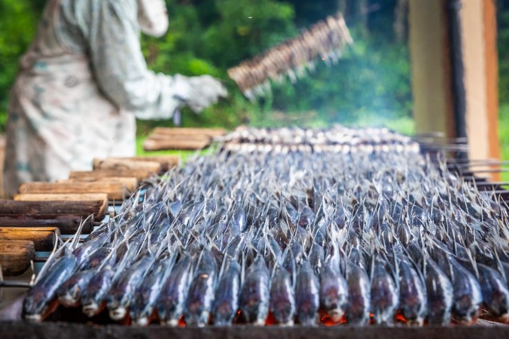 Grill your own flying fish