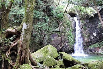 One of the larger waterfalls in the area. 