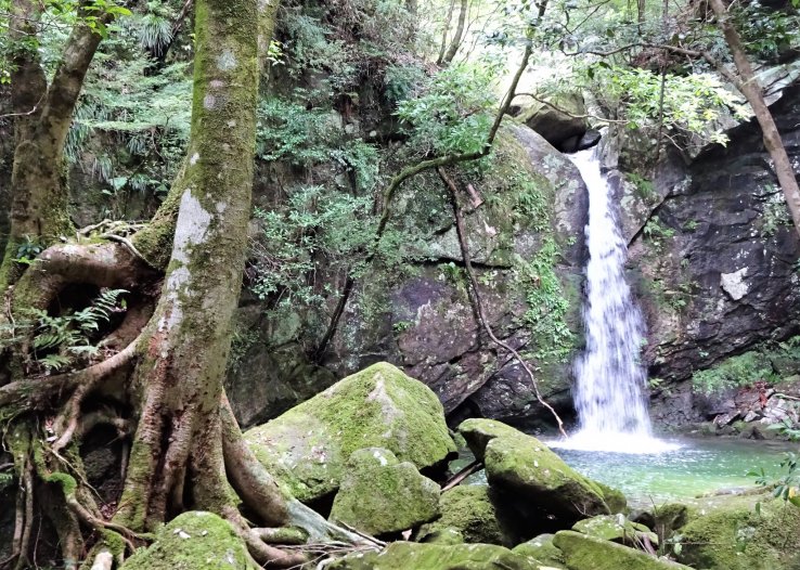 One of the larger waterfalls in the area. 
