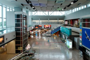 Inside the terminal