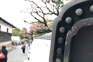 Plum trees line the entrance to Zuishin Temple.