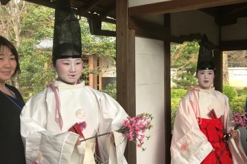 Girls who performed in the Hanezu Odori earlier can come back to perform the Imayo when they are in high school.