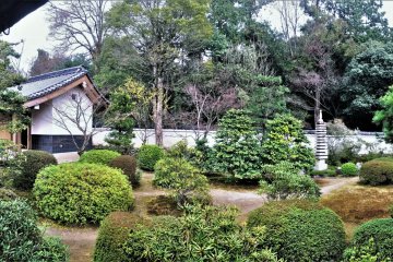 Take a stroll in the expansive plum orchard gardens