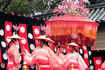 The giant umbrellas are the pride of ancient Kyoto