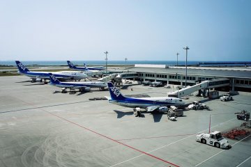Both domestic and international routes operate through this airport