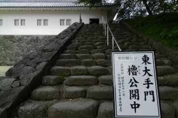 Inside the castle gates, there is no castle (although there are plans to begin rebuilding in the near future) but there is a very small free museum.