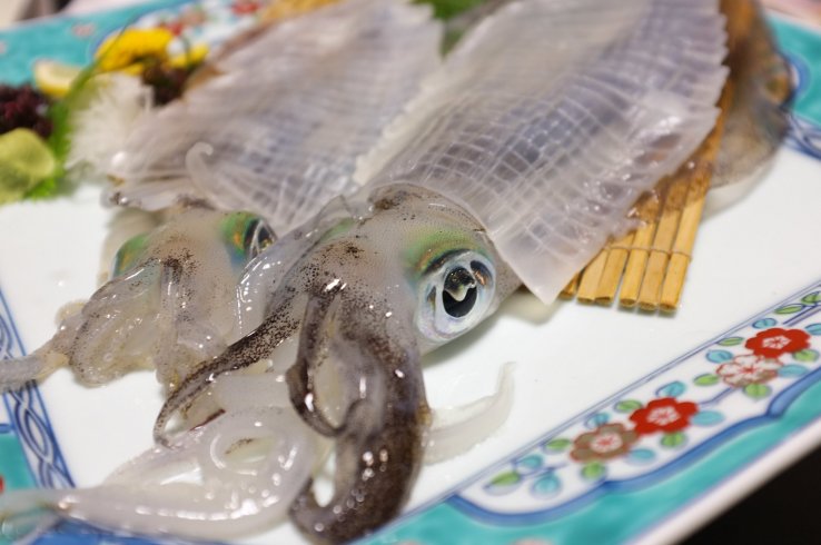 Yobuko ika