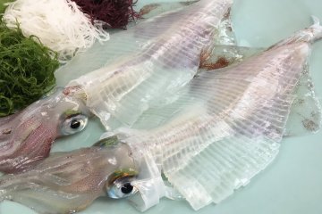 Yobuko ika, Saga