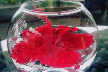 The court officials at Shuri loved the Hibiscus so much, they immortalised it in the bingata design, much like the ancients that immortalised fairies and mermaids