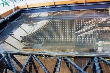 A shot from above