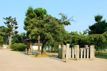 The sprawling castle grounds make a pleasant walking area for locals
