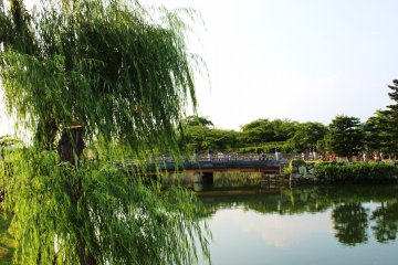 The moat is, by itself, enough of a sight to make a visit to Himeji city worthwhile