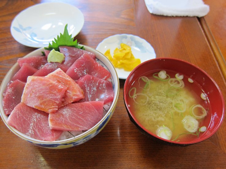 Maguro-don