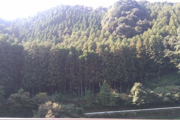 Sunshine on Hita's mountains