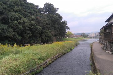 Following the river in Kumamachi 
