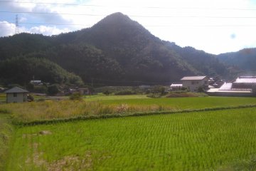 The road to Hita 