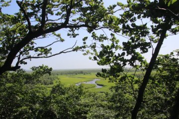 Vue du marais depuis le Cap Kirakotan