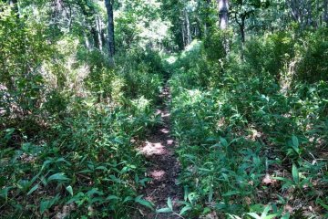 Le sentier