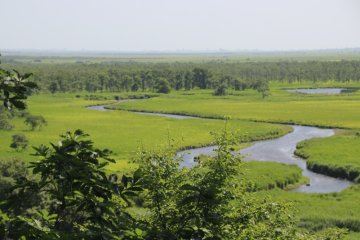 Vue du marais de Kushiro