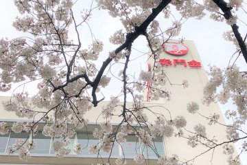 Akamonkai Japanese Language School