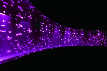 Illuminated jellyfish make this feel more like a love hotel