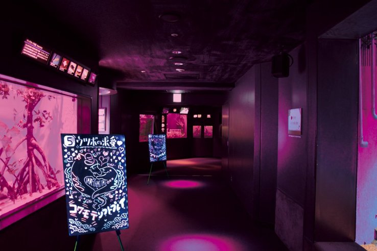 Night aquarium turned sexy venue
