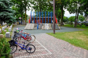 The park is popular with children who often visit after school.