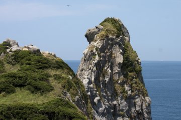 Monkey Rock