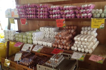 Free range eggs