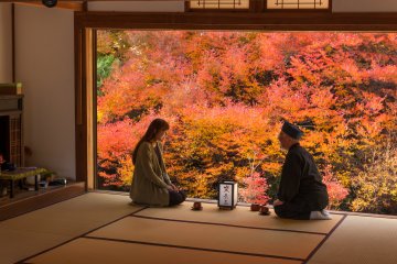 Autumn Leaves of Ankoku-ji, Tajima