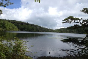 Shirakoma Pond and Forest