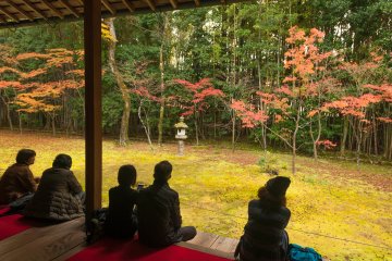 Relaxing in the maple garden. It's so calming.