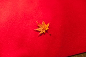 Scarlet blanket and maple crest?