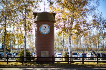 The clock tower and cows in front of the airport