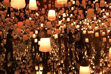 Forest of Lamps