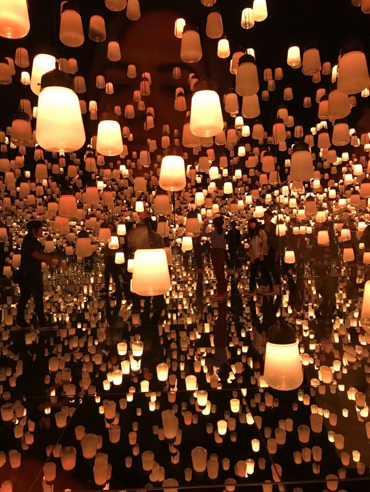 Forest of Lamps