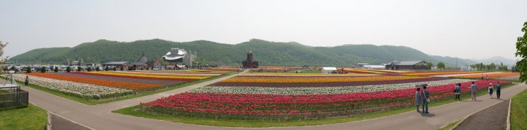 The Kamiyubetsu Tulip Park